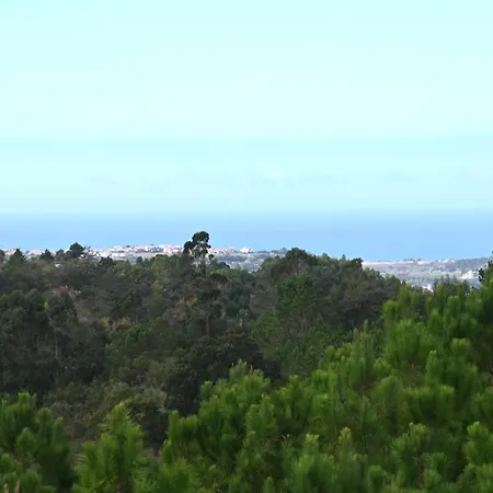 Casa Isqueiro Casa de Férias Cela (Leira)